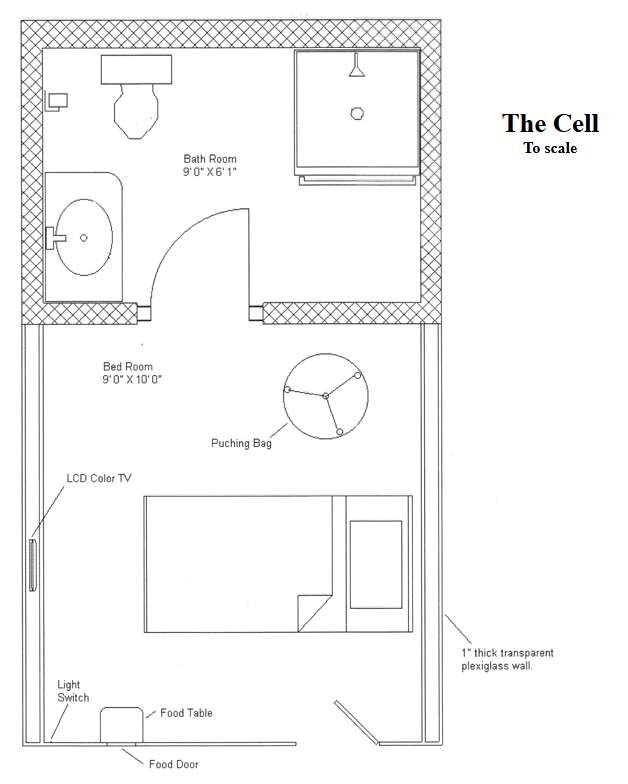 The Cell (To scale)